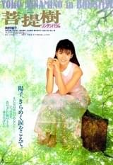 菩提樹 リンデンバウム